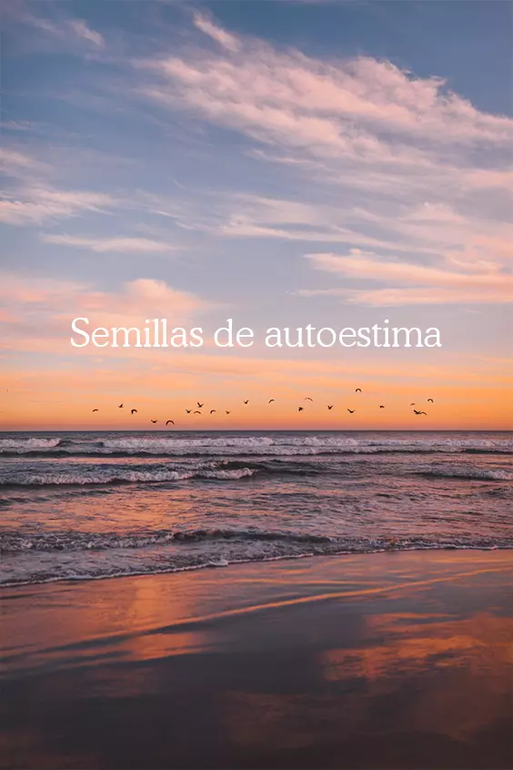 Semillas de autoestima